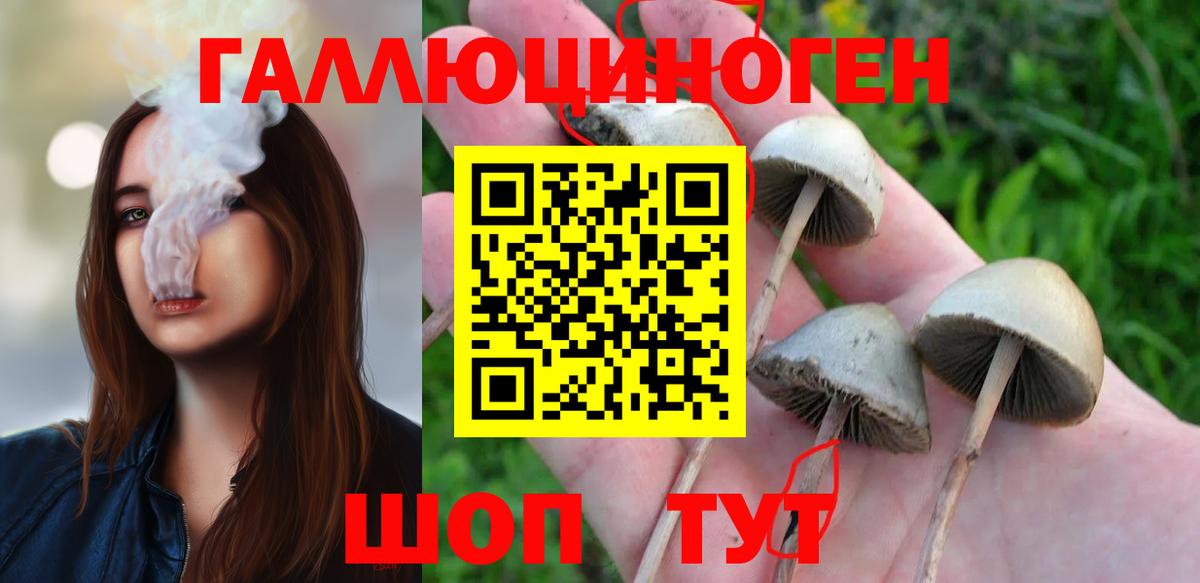Чита  Псилоцибиновые грибы ЛСД  Вход с VPN 